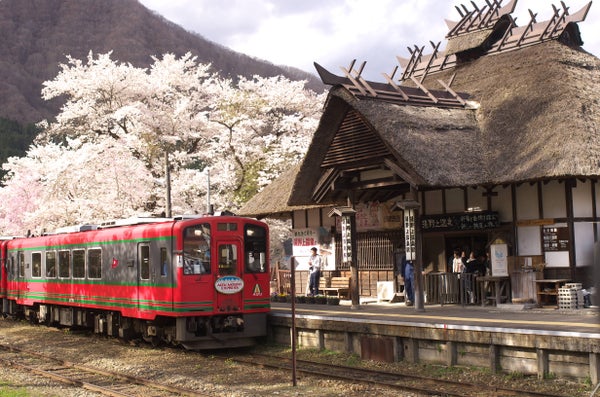 【山形県内発】 桜舞う!会津鉄道 「お座トロ展望列車」と会津・喜多方桜めぐり(日帰り)2